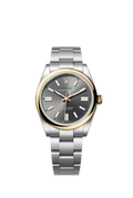Oyster Perpetual 100 Years